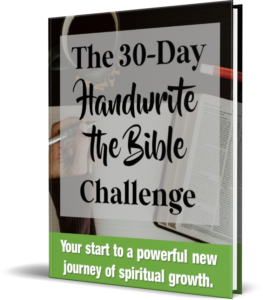 30 day challenge workbook