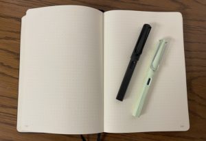 traveling with my lamy safaris